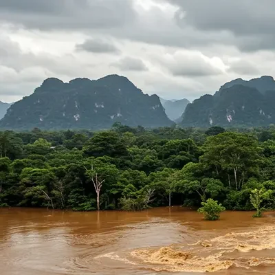Inundacion Selva