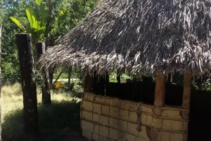 Churuata Amazonas