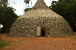 Churuata Amazonas