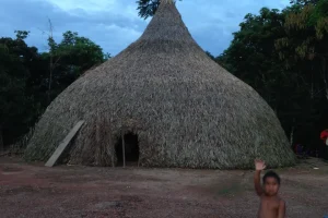 Churuata Amazonas