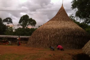 Churuata Amazonas