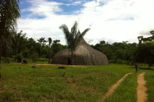 Churuata Amazonas