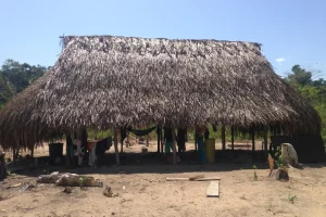 Churuata Amazonas
