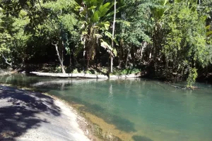 Naturaleza Rio Amazonas