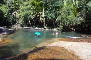 Naturaleza Rio Amazonas