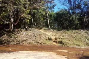 Naturaleza Amazonas