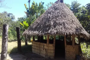 Churuata Amazonas