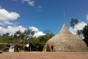 Churuata Amazonas