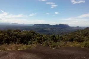 Naturaleza Amazonas