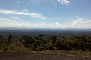 Naturaleza Amazonas