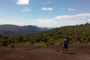 Naturaleza Amazonas