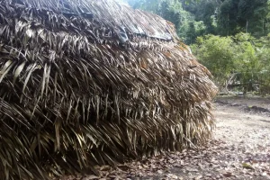 Churuata Amazonas