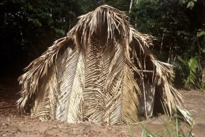 Churuata Amazonas