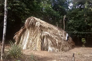 Churuata Amazonas