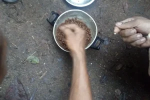 Gusanos