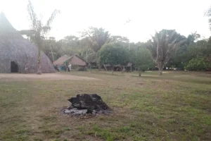 Naturaleza Amazonas