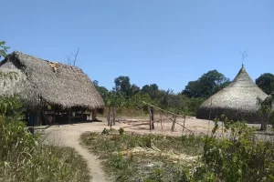 Churuata Amazonas