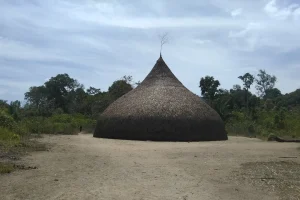 Churuata Amazonas