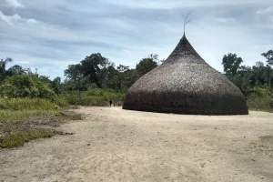 Churuata Amazonas