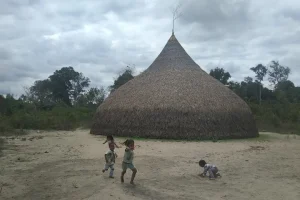 Churuata Amazonas