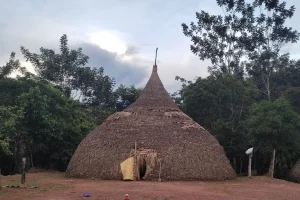 Churuata Amazonas