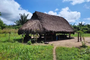 Churuata Amazonas