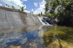 Naturaleza Rio Amazonas
