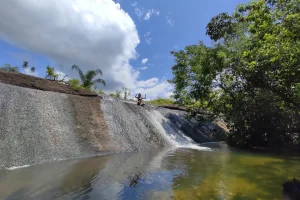 Naturaleza Rio Amazonas