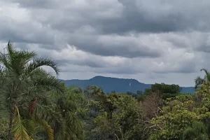 Naturaleza Amazonas
