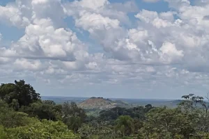 Naturaleza Amazonas