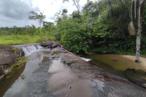 Naturaleza Rio Amazonas