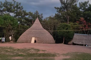 Churuata Amazonas