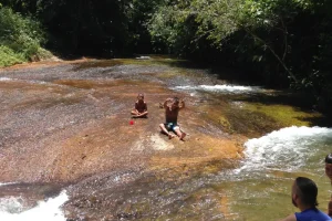Naturaleza Rio Amazonas